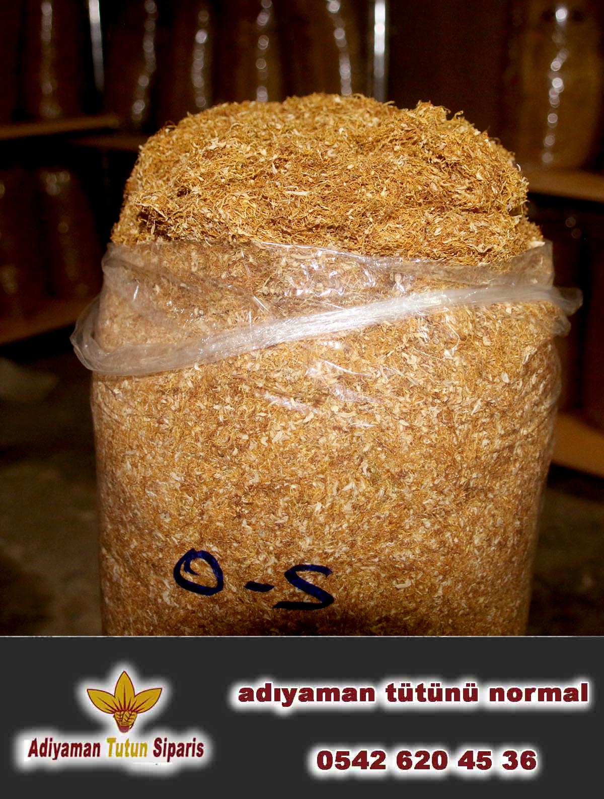 Adıyaman Tütünü Normal